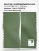 Product image 2 of the product “PANTONE® COTTON SWATCH CARD 17-0220 TCX Watercress ”