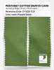 Product image 2 of the product “PANTONE® COTTON SWATCH CARD 17-0235 TCX Piquant Green ”