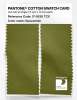 Artikelbild 2 des Artikels “PANTONE® COTTON SWATCH CARD 17-0530 TCX Guacamole “