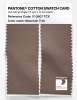 Artikelbild 2 des Artikels “PANTONE® COTTON SWATCH CARD 17-0807 TCX Mountain Trail “