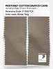 Artikelbild 2 des Artikels “PANTONE® COTTON SWATCH CARD 17-1108 TCX Winter Twig “
