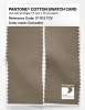 Product image 2 of the product “PANTONE® COTTON SWATCH CARD 17-1113 TCX Coriander ”