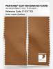 Product image 2 of the product “PANTONE® COTTON SWATCH CARD 17-1137 TCX Cashew ”