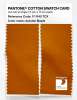 Artikelbild 2 des Artikels “PANTONE® COTTON SWATCH CARD 17-1145 TCX Autumn Maple “