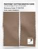 Product image 2 of the product “PANTONE® COTTON SWATCH CARD 17-1319 TCX Amphora ”