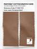 Artikelbild 2 des Artikels “PANTONE® COTTON SWATCH CARD 17-1324 TCX Cinnamon Swirl “