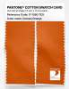 Product image 2 of the product “PANTONE® COTTON SWATCH CARD 17-1360 TCX Celosia Orange ”