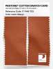 Product image 2 of the product “PANTONE® COTTON SWATCH CARD 17-1446 TCX Mango ”