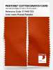 Artikelbild 2 des Artikels “PANTONE® COTTON SWATCH CARD 17-1449 TCX Pureed Pumpkin “