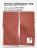 Product image 2 of the product “PANTONE® COTTON SWATCH CARD 17-1540 TCX Apricot Brandy ”