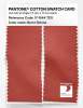 Artikelbild 2 des Artikels “PANTONE® COTTON SWATCH CARD 17-1544 TCX Burnt Sienna “