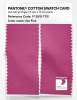 Artikelbild 2 des Artikels “PANTONE® COTTON SWATCH CARD 17-2519 TCX Gin Fizz “