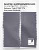 Artikelbild 2 des Artikels “PANTONE® COTTON SWATCH CARD 17-3907 TCX Quicksilver “