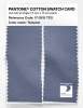 Product image 2 of the product “PANTONE® COTTON SWATCH CARD 17-3915 TCX Tempest ”