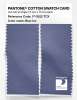 Artikelbild 2 des Artikels “PANTONE® COTTON SWATCH CARD 17-3922 TCX Blue Ice “