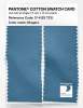 Product image 2 of the product “PANTONE® COTTON SWATCH CARD 17-4123 TCX Niagara ”