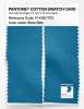 Artikelbild 2 des Artikels “PANTONE® COTTON SWATCH CARD 17-4129 TCX Wave Ride “