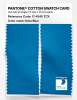 Artikelbild 2 des Artikels “PANTONE® COTTON SWATCH CARD 17-4245 TCX Ibiza Blue “