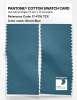 Product image 2 of the product “PANTONE® COTTON SWATCH CARD 17-4716 TCX Storm Blue ”