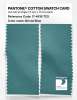 Product image 2 of the product “PANTONE® COTTON SWATCH CARD 17-4818 TCX Bristol Blue ”