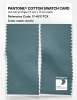 Artikelbild 2 des Artikels “PANTONE® COTTON SWATCH CARD 17-4911 TCX Arctic “