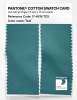 Product image 2 of the product “PANTONE® COTTON SWATCH CARD 17-4919 TCX Teal ”