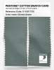 Product image 2 of the product “PANTONE® COTTON SWATCH CARD 17-5107 TCX Chinois Green ”
