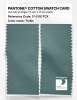 Product image 2 of the product “PANTONE® COTTON SWATCH CARD 17-5110 TCX Trellis ”