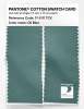 Artikelbild 2 des Artikels “PANTONE® COTTON SWATCH CARD 17-5111 TCX Oil Blue “