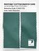Product image 2 of the product “PANTONE® COTTON SWATCH CARD 17-5513 TCX Deep Sea ”