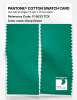 Product image 2 of the product “PANTONE® COTTON SWATCH CARD 17-5633 TCX Deep Green ”