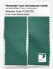 Product image 2 of the product “PANTONE® COTTON SWATCH CARD 17-5722 TCX Bottle Green ”