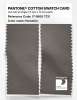 Artikelbild 2 des Artikels “PANTONE® COTTON SWATCH CARD 17-5800 TCX Hematite “