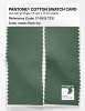 Product image 2 of the product “PANTONE® COTTON SWATCH CARD 17-5912 TCX Dark Ivy ”