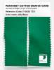 Product image 2 of the product “PANTONE® COTTON SWATCH CARD 17-6030 TCX Jelly Bean ”