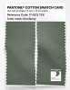 Artikelbild 2 des Artikels “PANTONE® COTTON SWATCH CARD 17-6212 TCX Sea Spray “