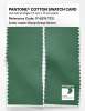 Product image 2 of the product “PANTONE® COTTON SWATCH CARD 17-6219 TCX Deep Grass Green ”