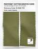 Product image 2 of the product “PANTONE® COTTON SWATCH CARD 18-0525 TCX Iguana ”