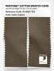 Artikelbild 2 des Artikels “PANTONE® COTTON SWATCH CARD 18-0820 TCX Capers “
