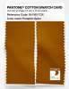 Product image 2 of the product “PANTONE® COTTON SWATCH CARD 18-1163 TCX Pumpkin Spice ”