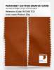 Product image 2 of the product “PANTONE® COTTON SWATCH CARD 18-1340 TCX Potter's Clay ”