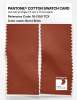 Artikelbild 2 des Artikels “PANTONE® COTTON SWATCH CARD 18-1350 TCX Burnt Brick “
