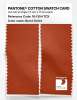 Artikelbild 2 des Artikels “PANTONE® COTTON SWATCH CARD 18-1354 TCX Burnt Ochre “