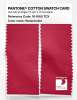 Artikelbild 2 des Artikels “PANTONE® COTTON SWATCH CARD 18-1665 TCX Watermelon “