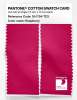 Artikelbild 2 des Artikels “PANTONE® COTTON SWATCH CARD 18-1754 TCX Raspberry “