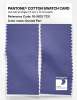Artikelbild 2 des Artikels “PANTONE® COTTON SWATCH CARD 18-3833 TCX Dusted Peri “