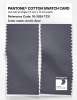 Artikelbild 2 des Artikels “PANTONE® COTTON SWATCH CARD 18-3924 TCX Arctic Seal “