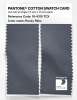 Artikelbild 2 des Artikels “PANTONE® COTTON SWATCH CARD 18-4319 TCX Rocky Rims “