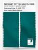 Product image 2 of the product “PANTONE® COTTON SWATCH CARD 18-5025 TCX Quetzal Green ”
