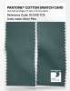 Artikelbild 2 des Artikels “PANTONE® COTTON SWATCH CARD 18-5410 TCX Silver Pine “